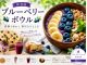 ブルーベリーをぜいたくに使ったオリジナルスイーツが9品目。カフェだけのご利用も大歓迎!