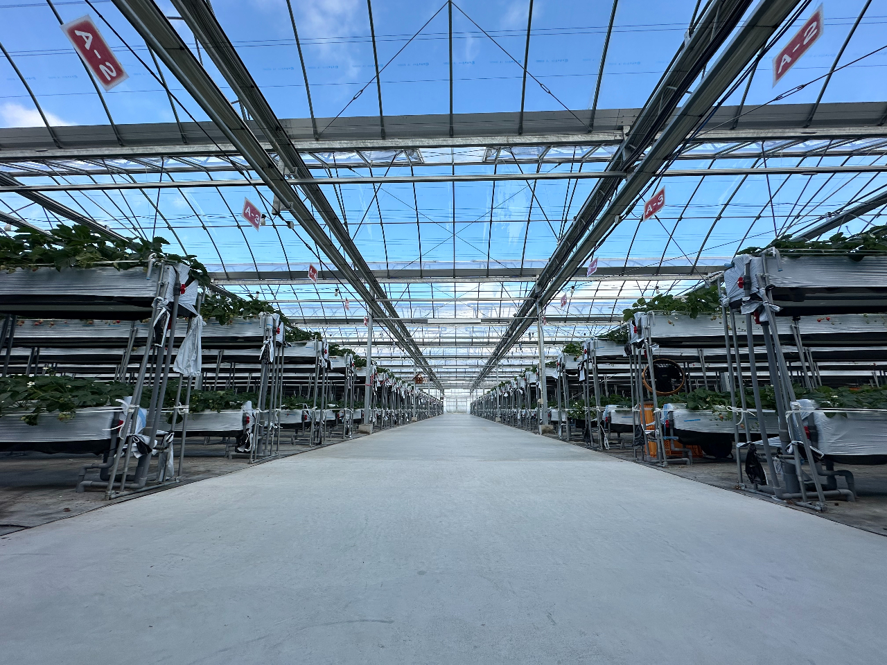 󂪌LXnEX̒łɂȂi𖞋ił܂I