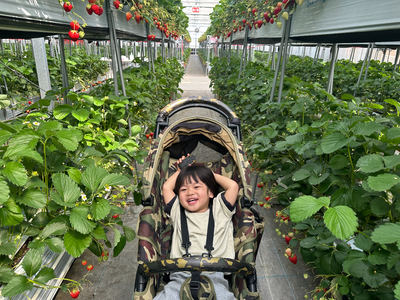 ʘHLmۂĂ邽߁Axr[J[Ԉ֎qʂ܂