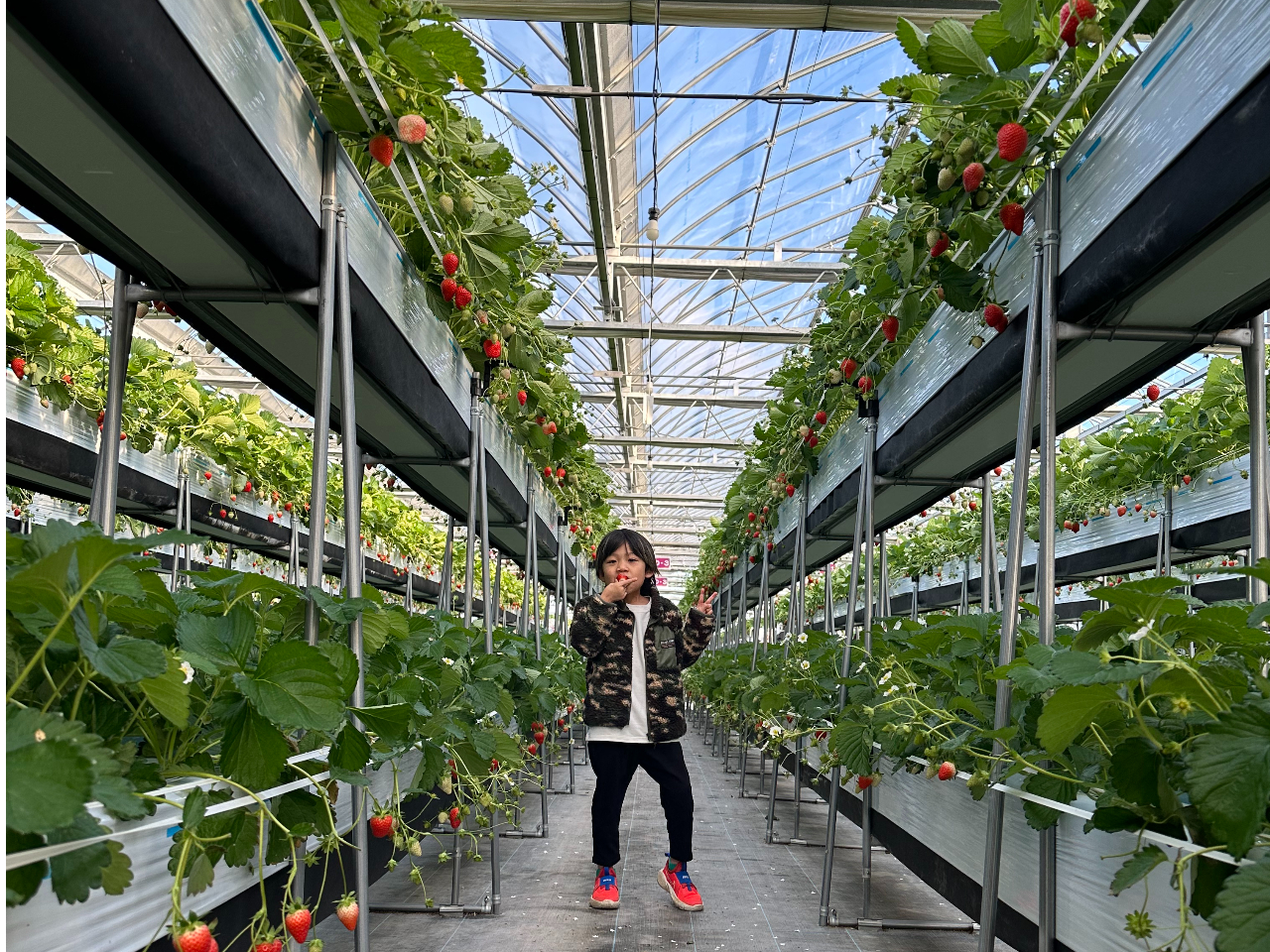 2025NVKI[v̂߁AnEX͂ƂĂYʐ^f邱ƊԈႢȂI