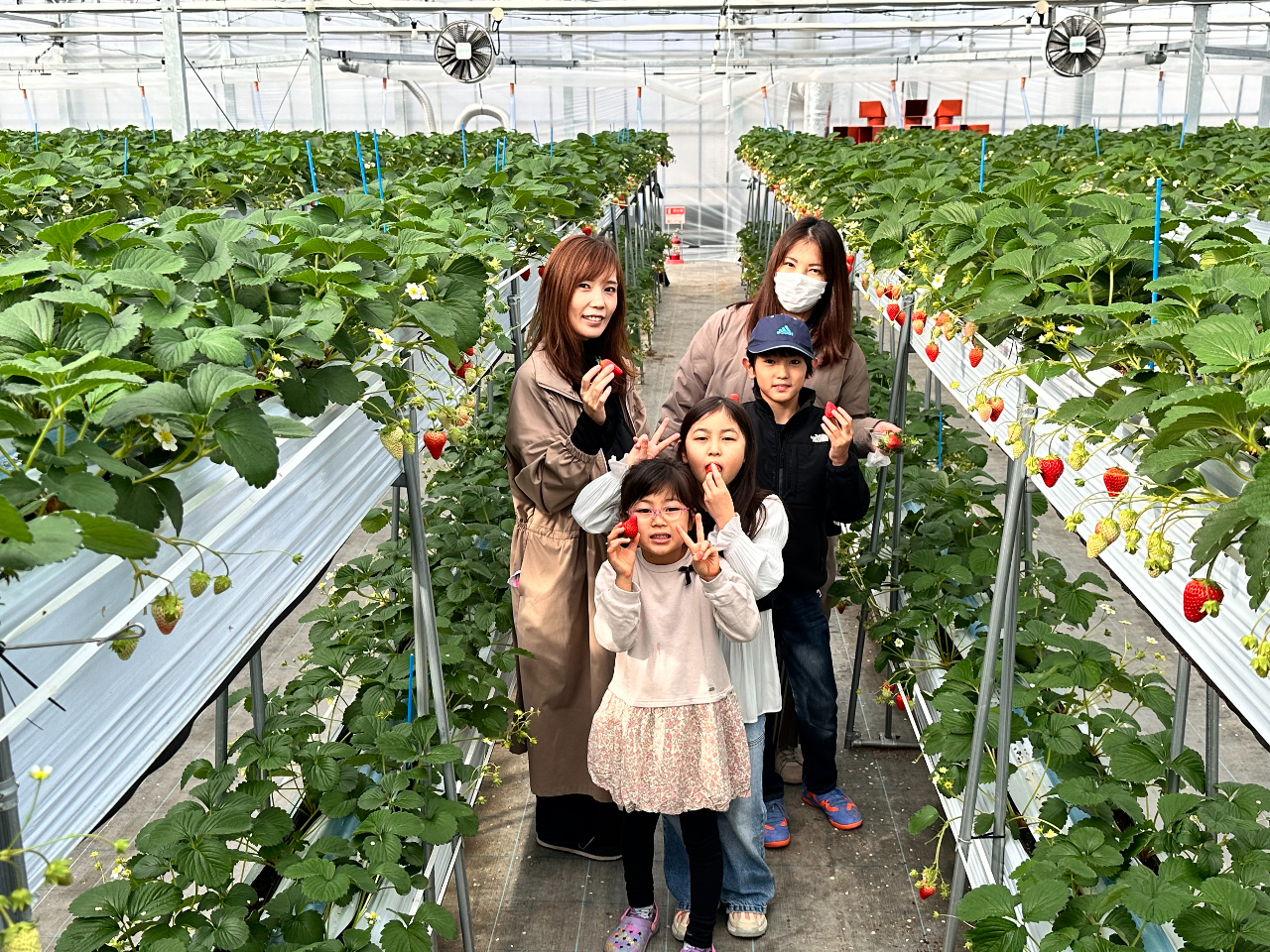 素敵な思い出づくりにぴったりです!