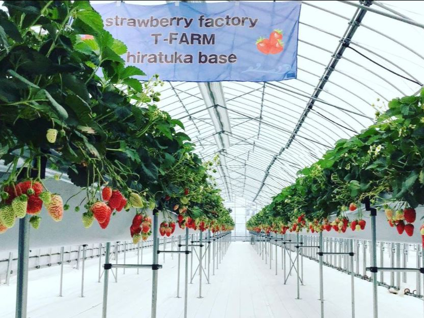 ݍ͔|Ȃ̂ŁAEݎȒPłB