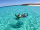 貸し切りボートで行く、最高の海 きれいなポイントでシュノーケル
