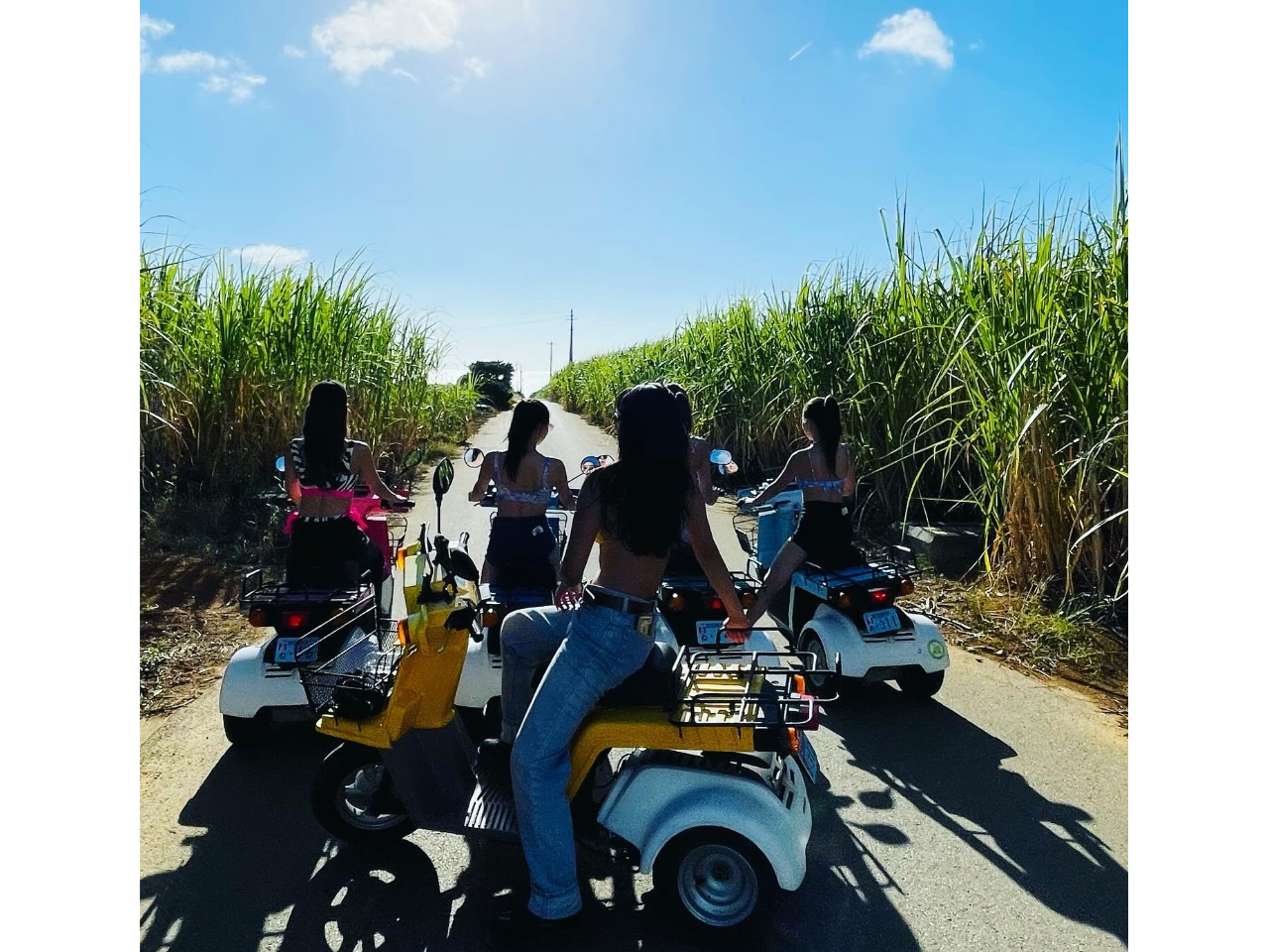 {ÓFBƎOփgCNWCŒT悤