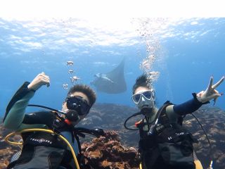 運が良ければマンタに会える!