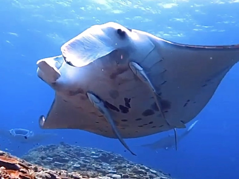 唗͂̃}^IΊ_ł͒ʔN}^ɉƂł܂