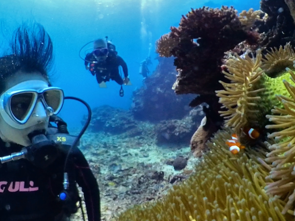 ニモにも会えちゃう