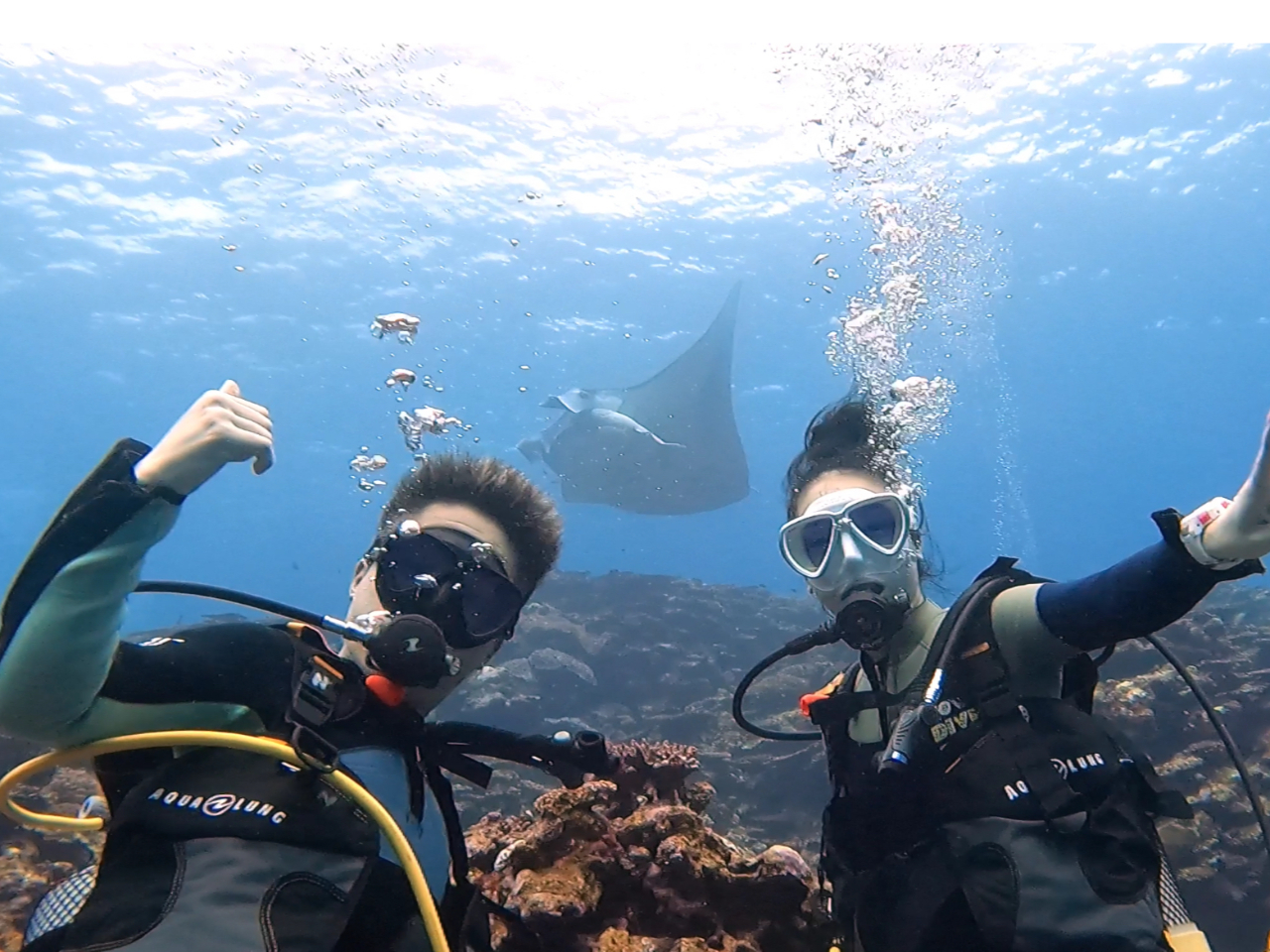 マンタと記念撮影!初心者でも会える