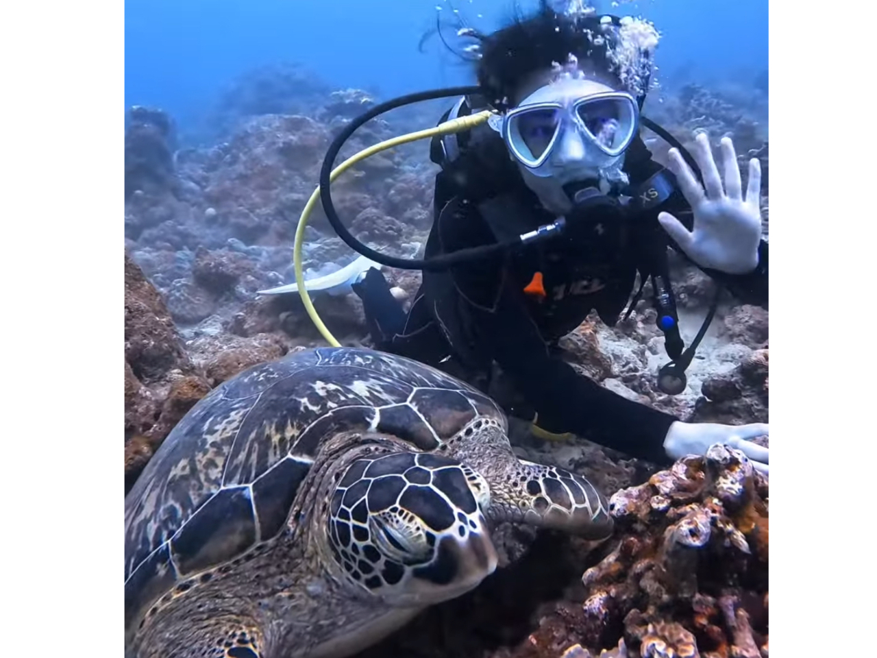 E~KƋLOBeIvõT|[gĂ܂