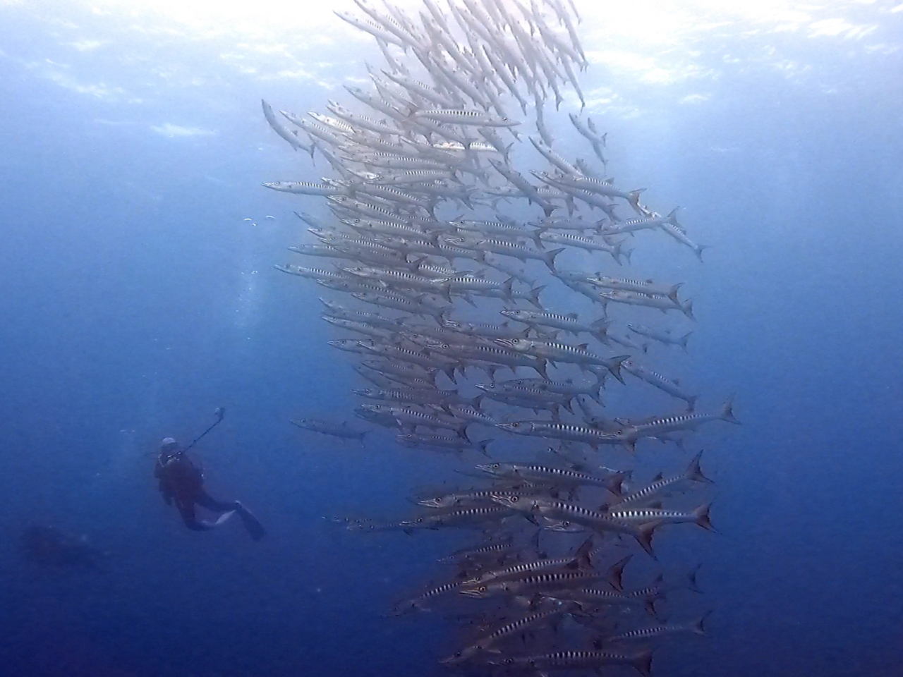 Ch|CgŃoN[_[ɉ邩