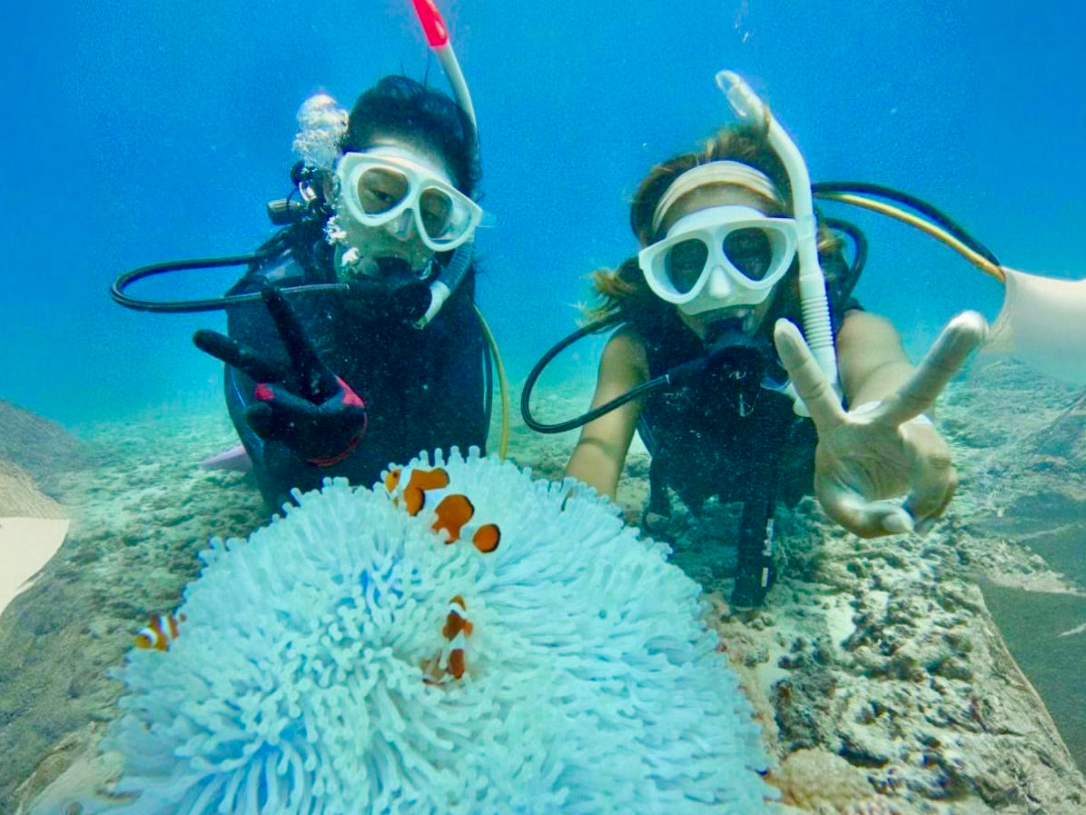 ߂ĂłjƃnCI`[YIE͊ył