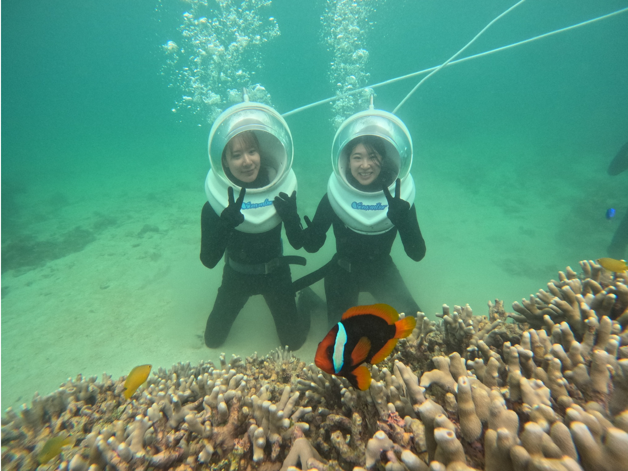 GTɂƃgsJtBbVW܂Ă܂I