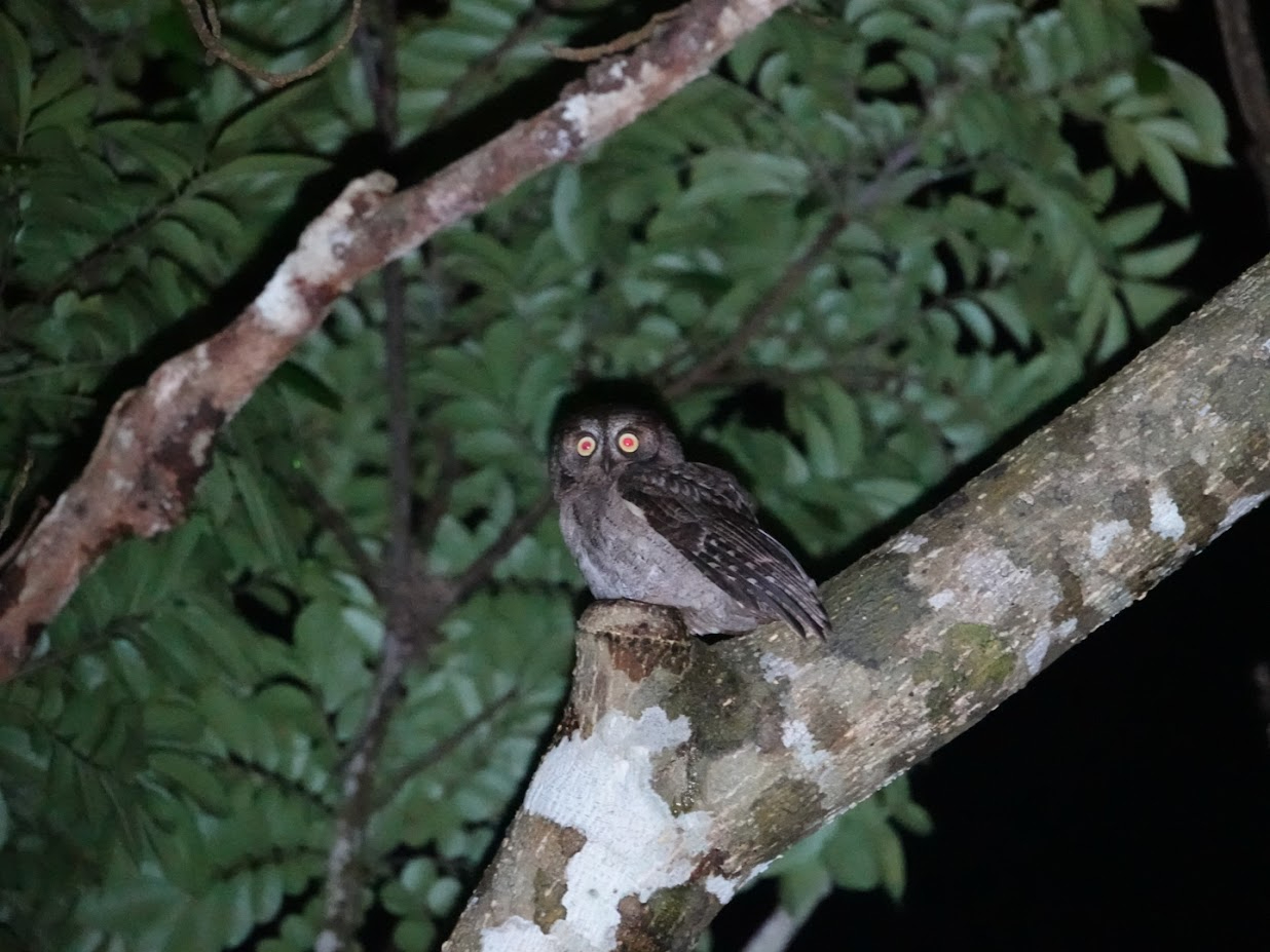 ELERmnYN͒ʔNCɊĂ܂B