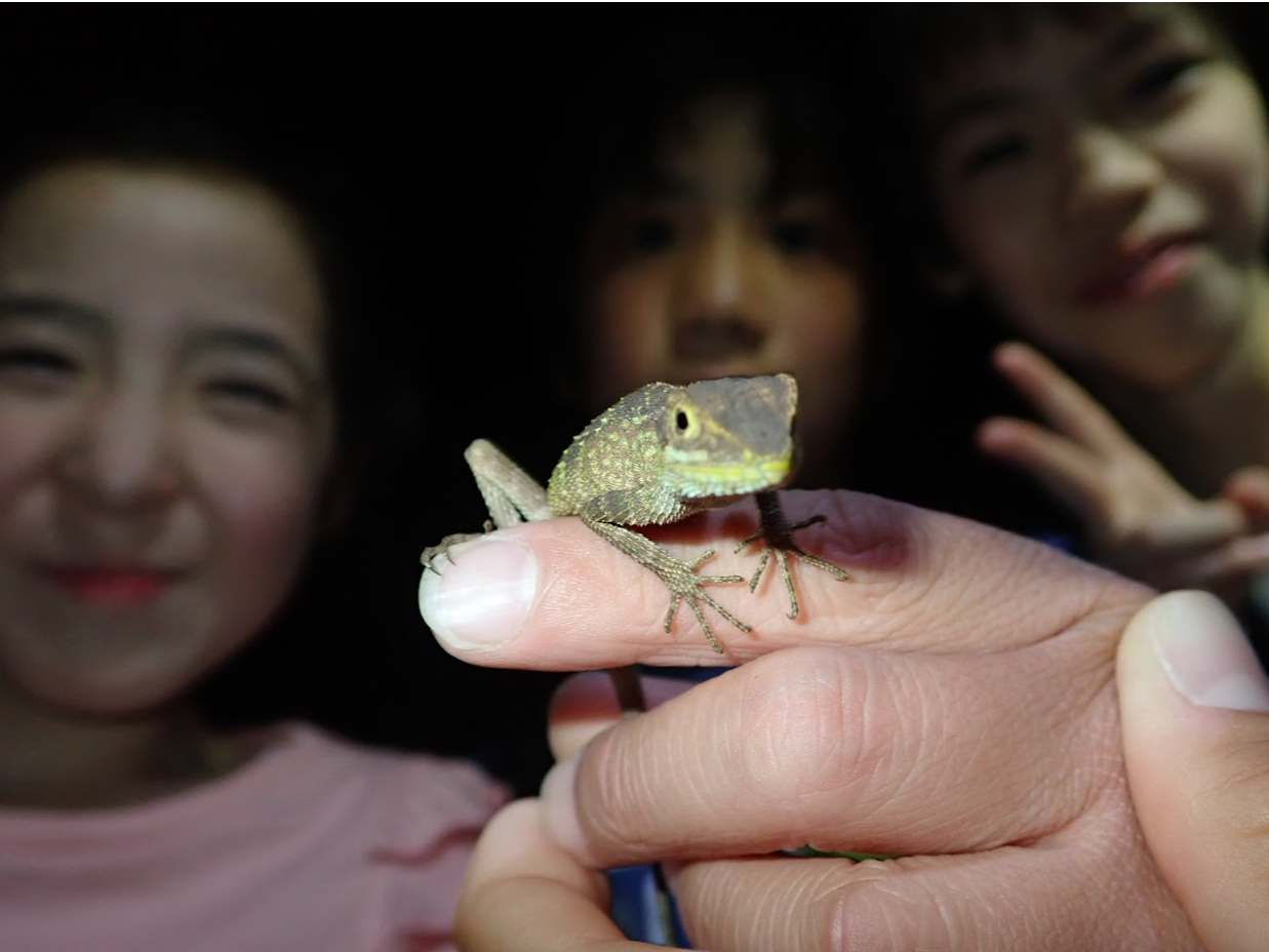 qǂ̐lC҃TLV}Lm{gJQTĂ݂悤I