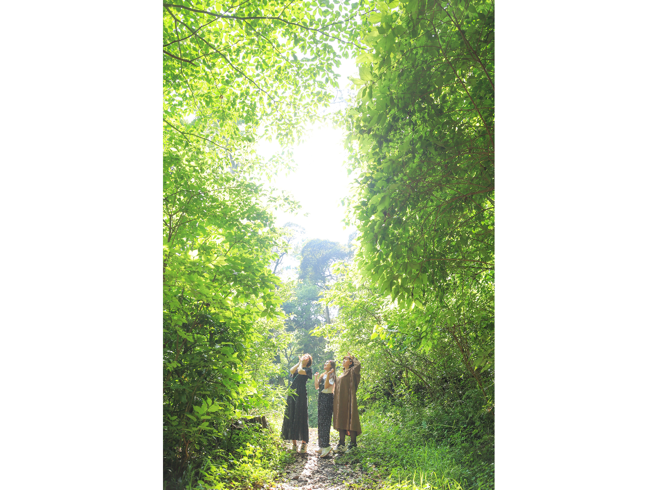 P[v^߂̎ɂ́Aт厩R𖞋io܂