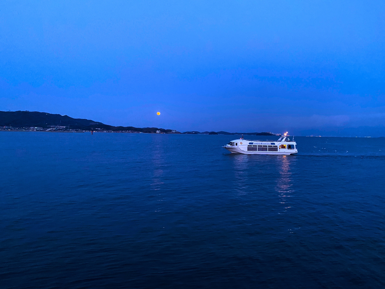 �z�����񂾌�̓��[�����o�[�̍q�C���ł��邩��