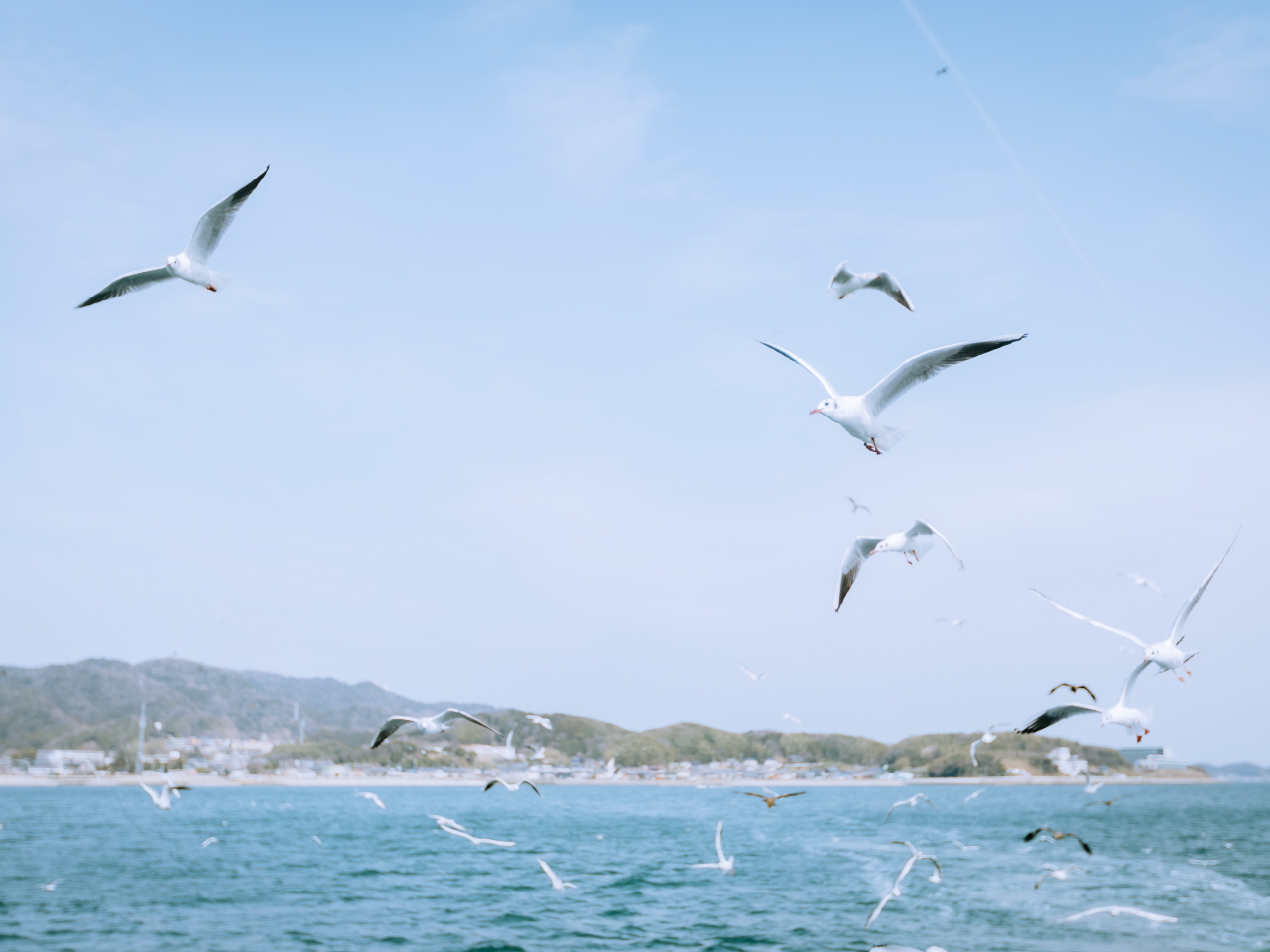 ��D�C���[�W