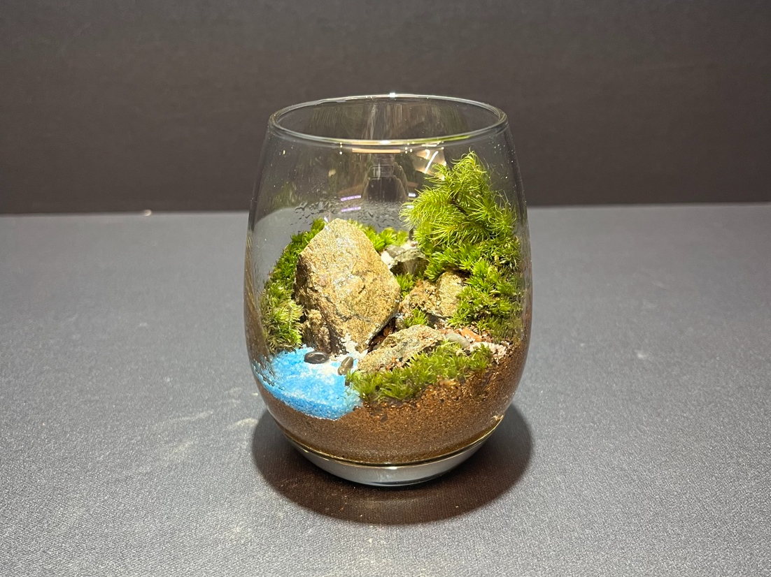 初めての苔テラリウム】1～3種類の苔で自分だけのかわいい世界を