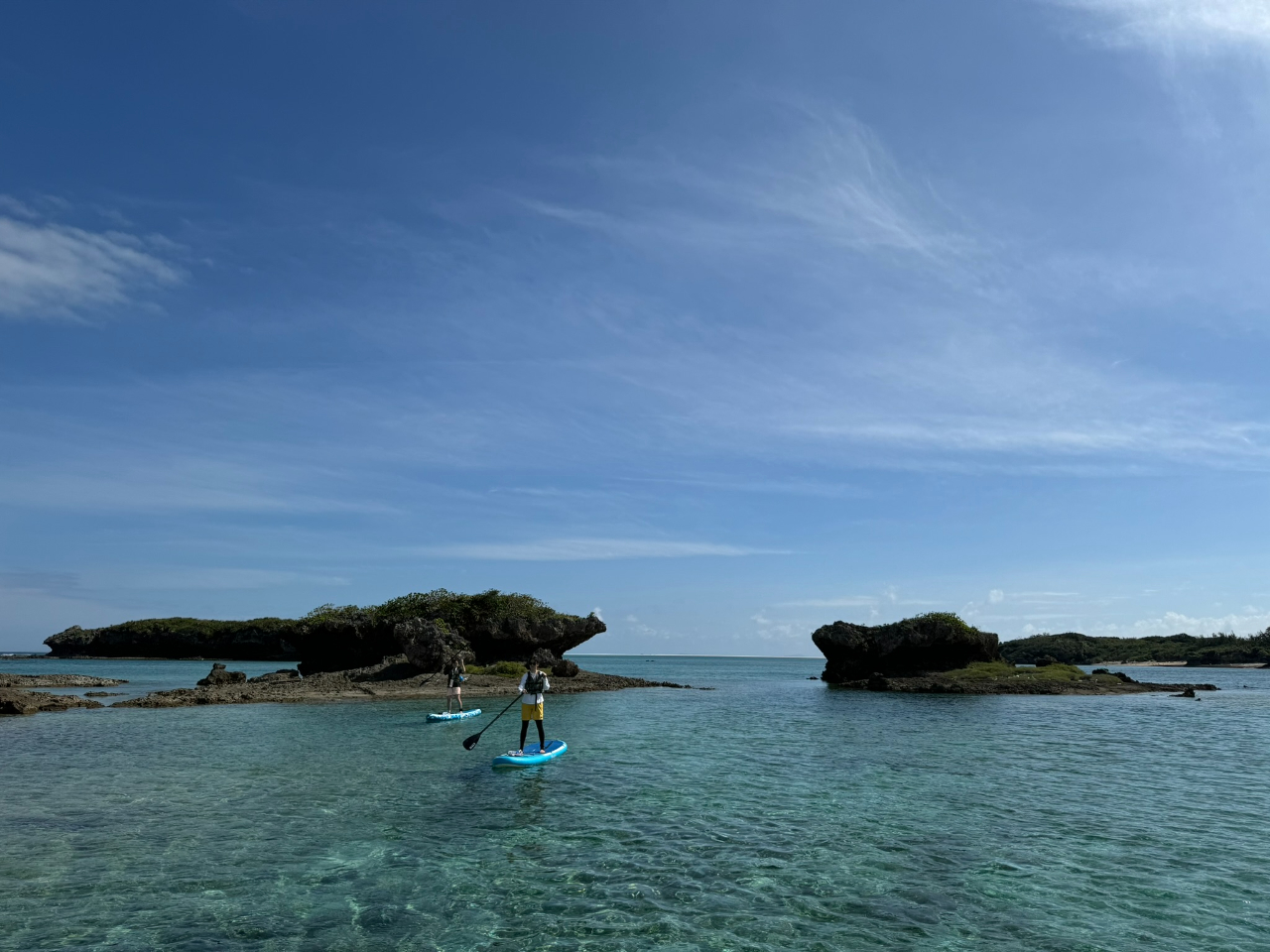 S҂łSIKChɂ郌N`[łɗĂ܂I