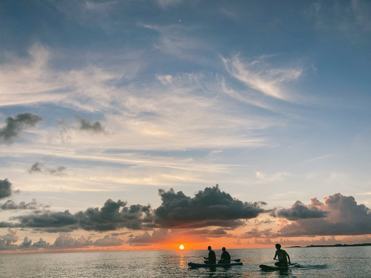 Cɒޑẑ͔NɐIȂ͋^Ă܂