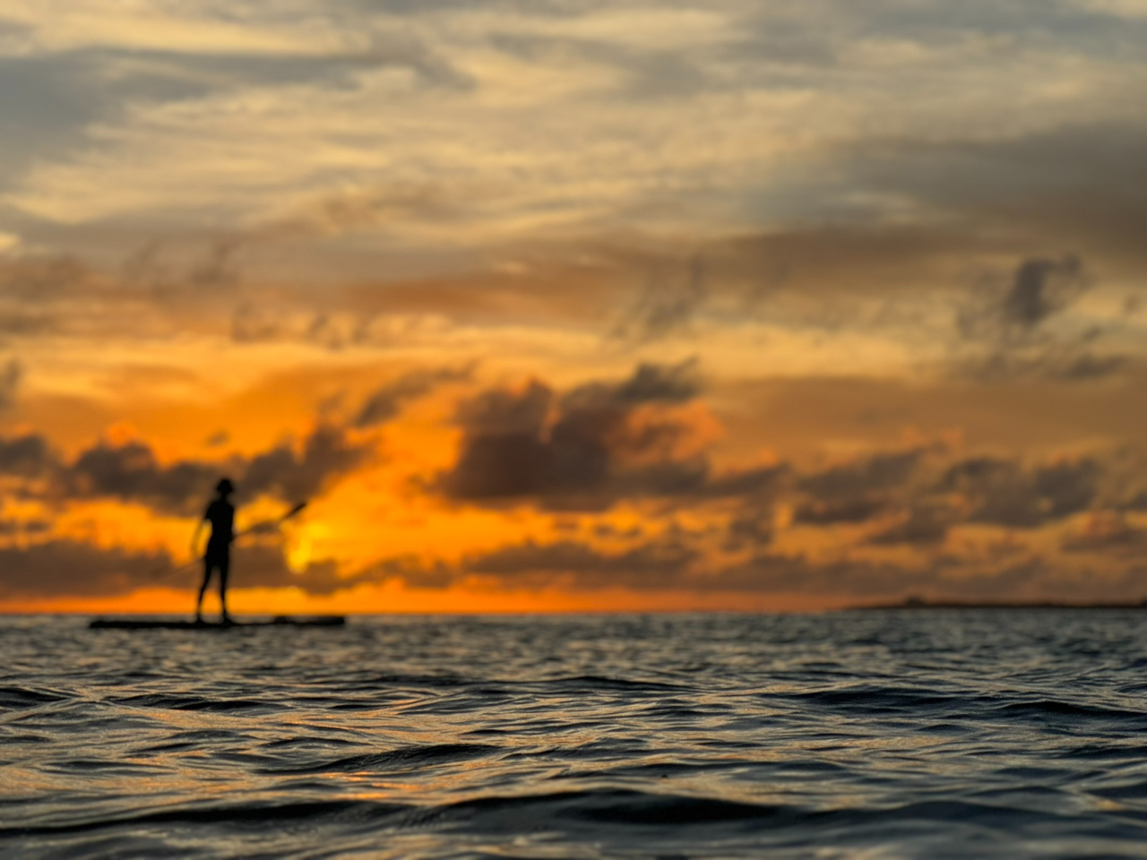 ^Ԃɐ܂ɒޑz𒭂߂ґȎԁI