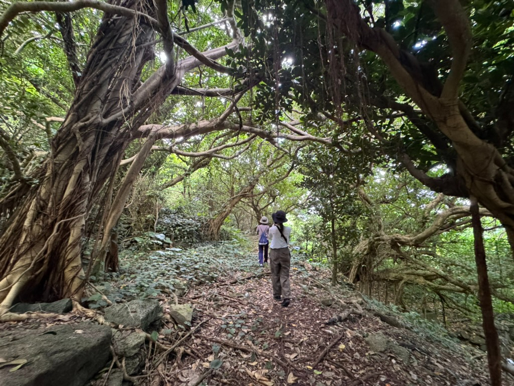 ���W���U���I