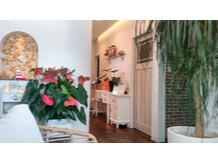 ̗X́A΂Sn̗ǂ͋Cł 