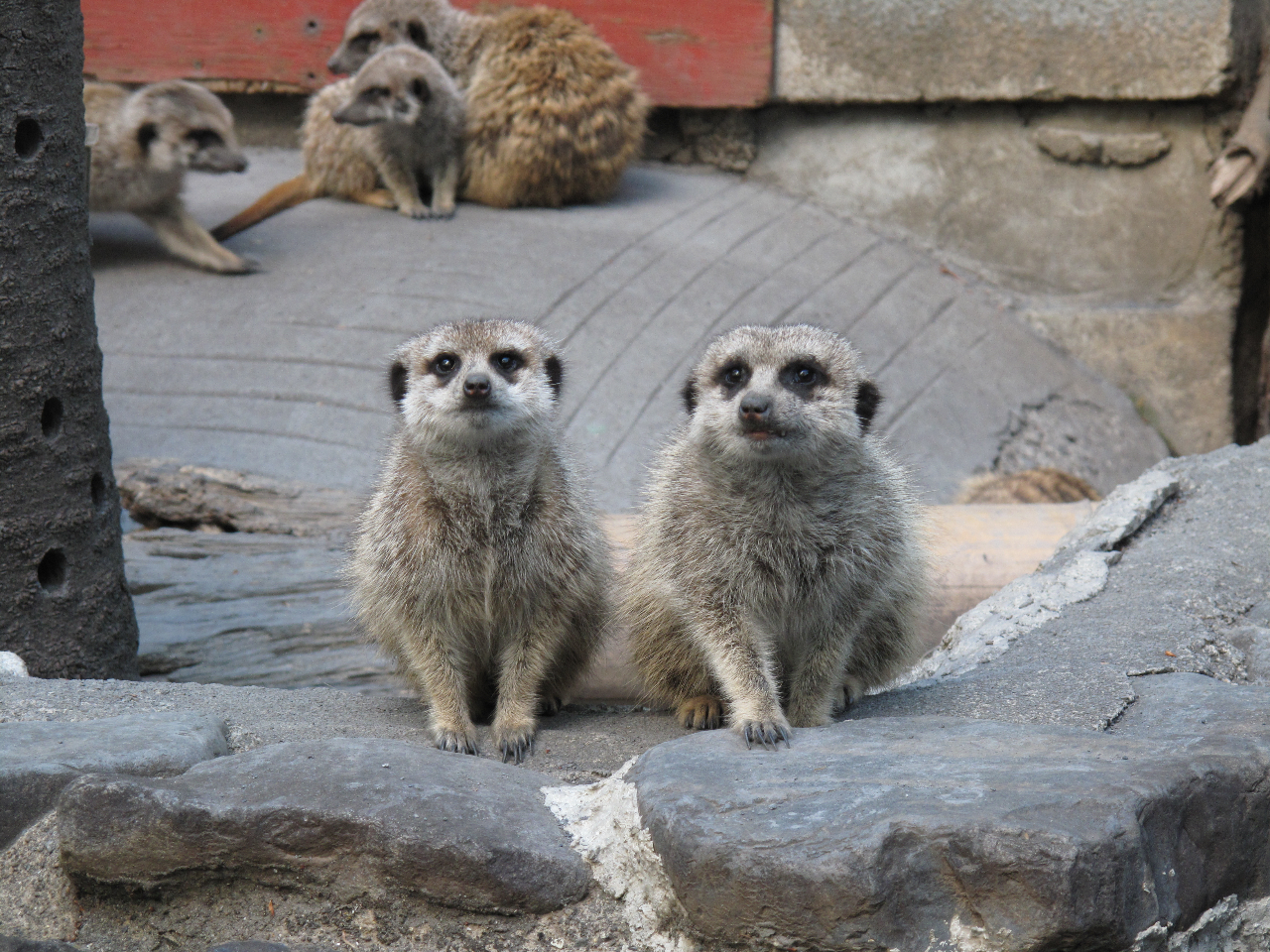 GgXGA~[ALbg⃊XUȂǓHb₨TȂǗlXȓɏo܂