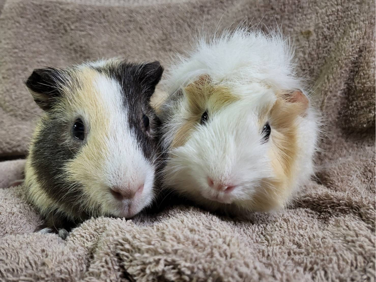 X^fBz[⃌bT[p_⃂bgȂǑlC̓ɏo܂CxgJÒ