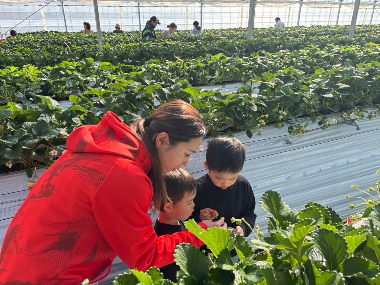 ���q�l���y���߂邢��������