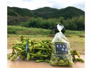 丹波篠山 幻の黒枝豆