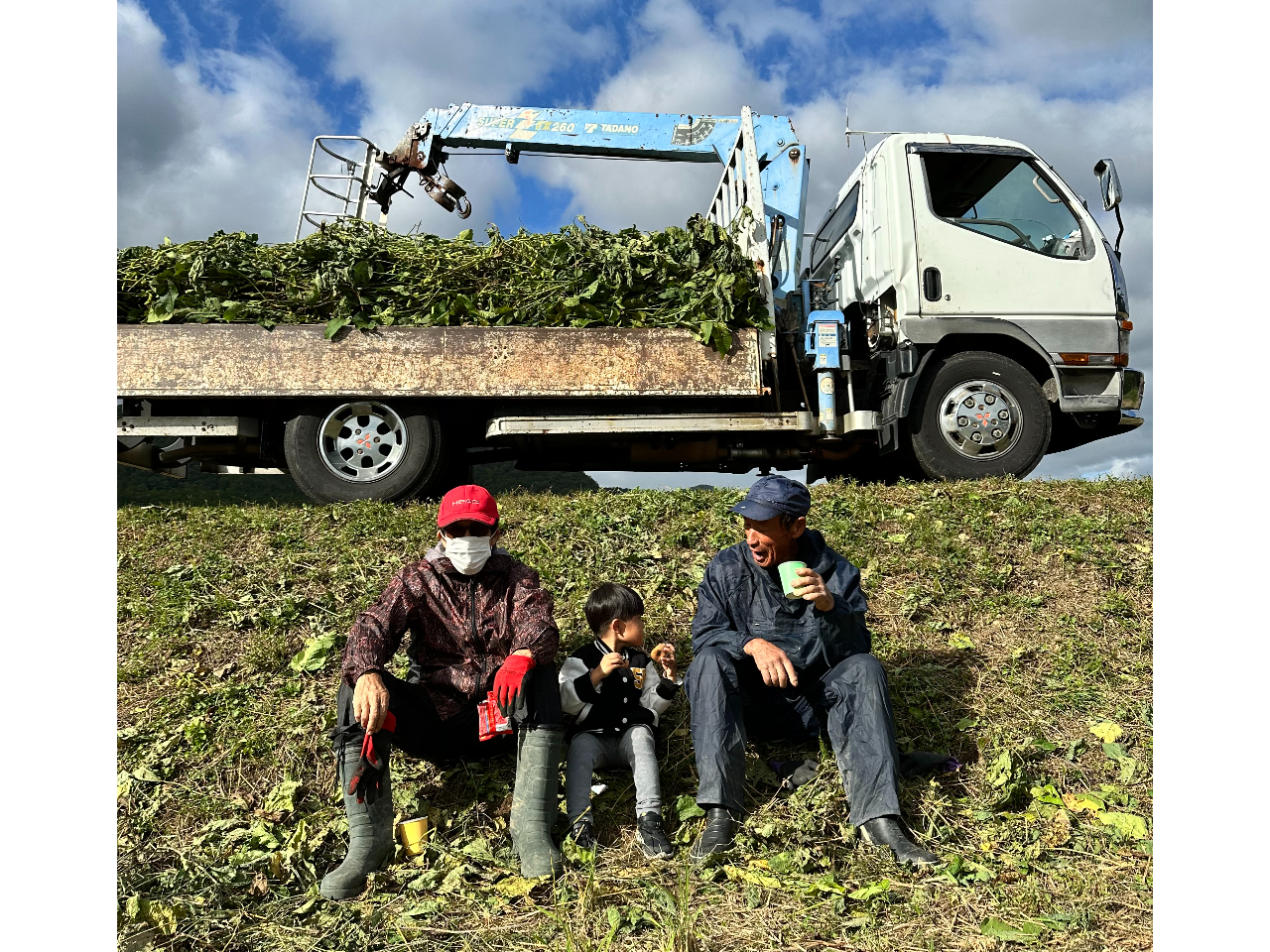 2026年開催予定 5株以上で更にお得♪ 5株＋300gの丹波篠山黒枝豆付