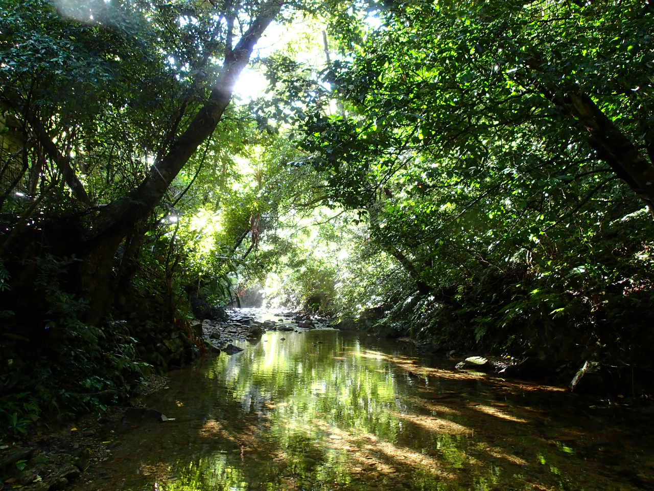 �΂̃g���l�����������Đi�݂܂�