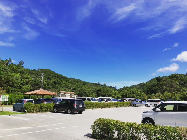 沖縄やんばる「ター滝」でガイド貸切1組プライベートツアー【7-9月平日