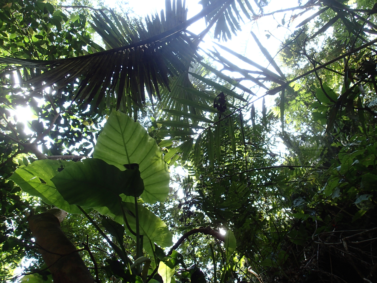 ΂̃Of[VdɂdȂAĂ邾Ŕł