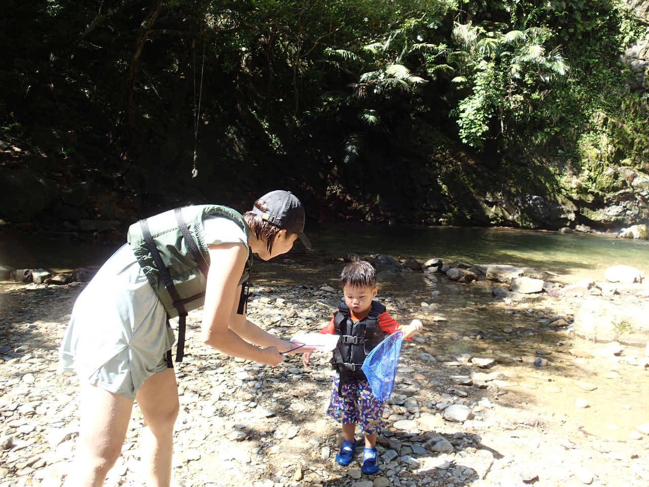滝つぼでの魚すくいはハマる人続出