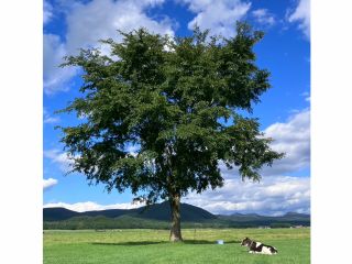渡辺体験牧場さんで牧場体験を満喫しましょう♪