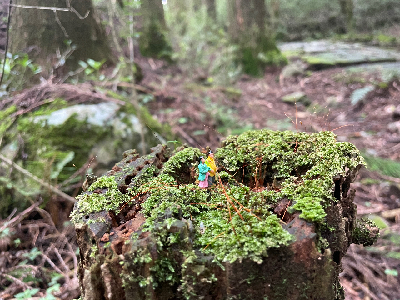 ́gghƂȂ~j`Al`gāARP̐XT