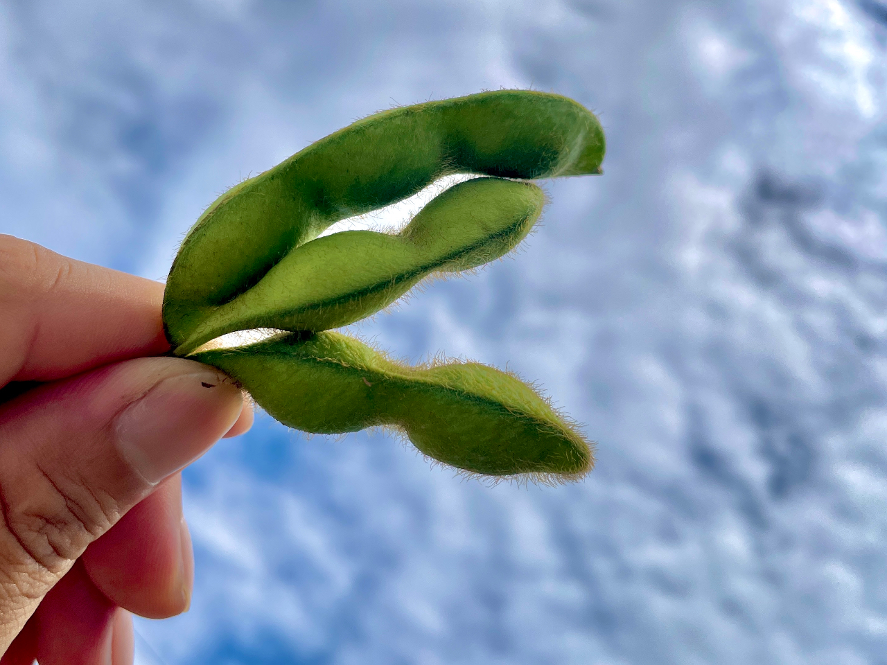 ̂ꂽĂ̍}֐VNł߂łII