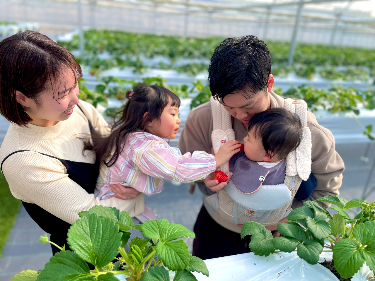 �Ƒ��c���ŃE�L�E�L