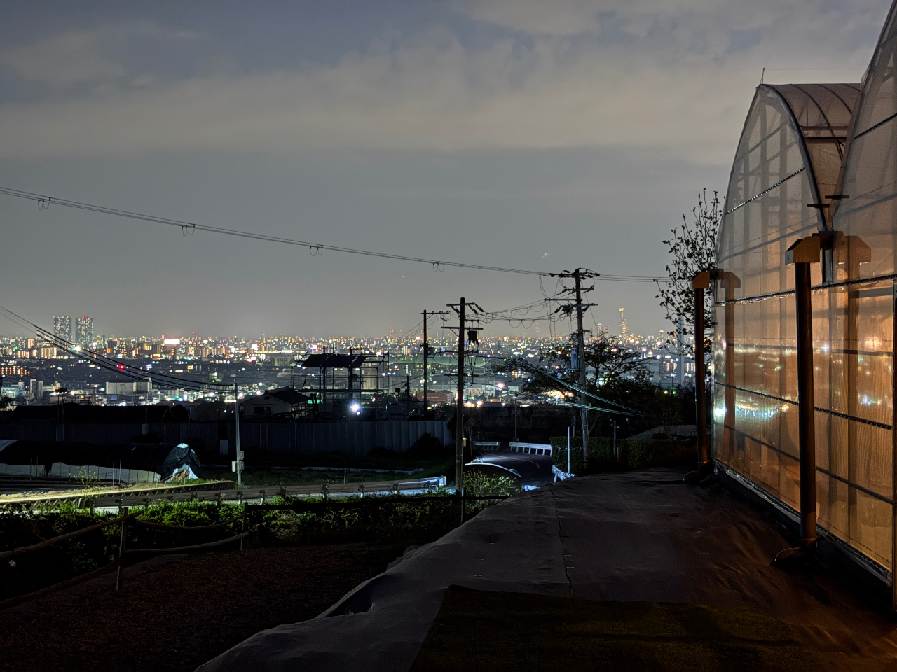 ��̂��������