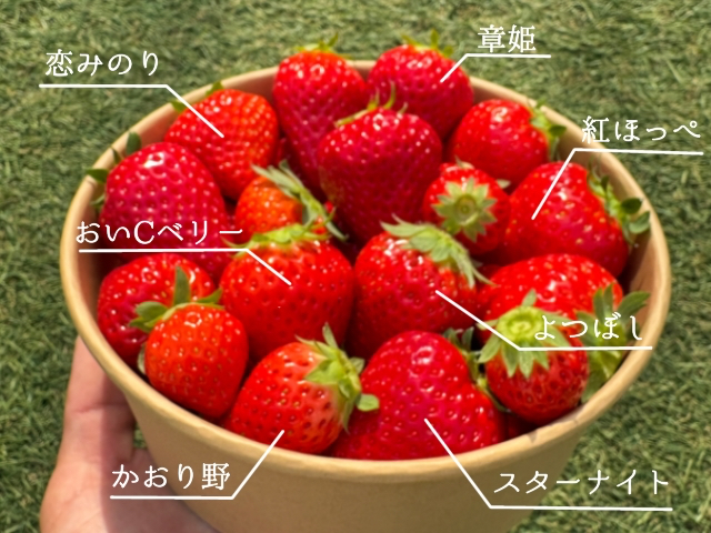 ��̂��������