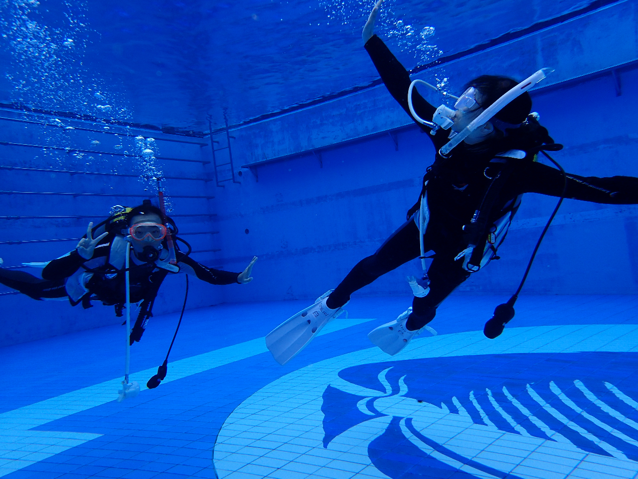 ダイビング ARK Diving Shop 串本店＞透明度が抜群の串本の海でダイビング｜南紀