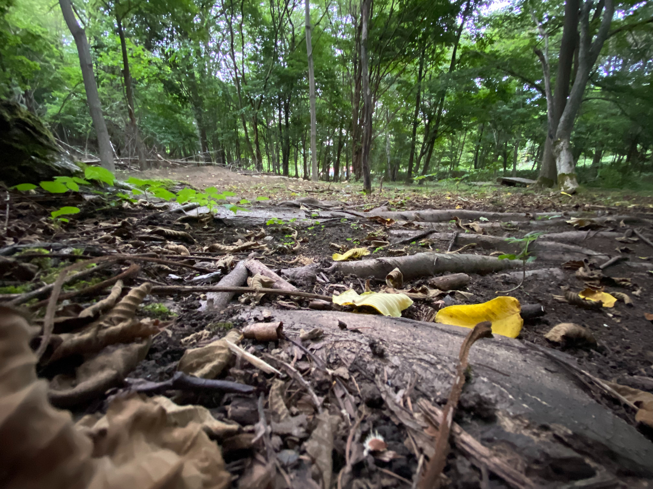 ezobikẽgC͖kĂ⃈[bpɂn`⎩R̂̂QƂĎcX^CłBWe keep natural features.