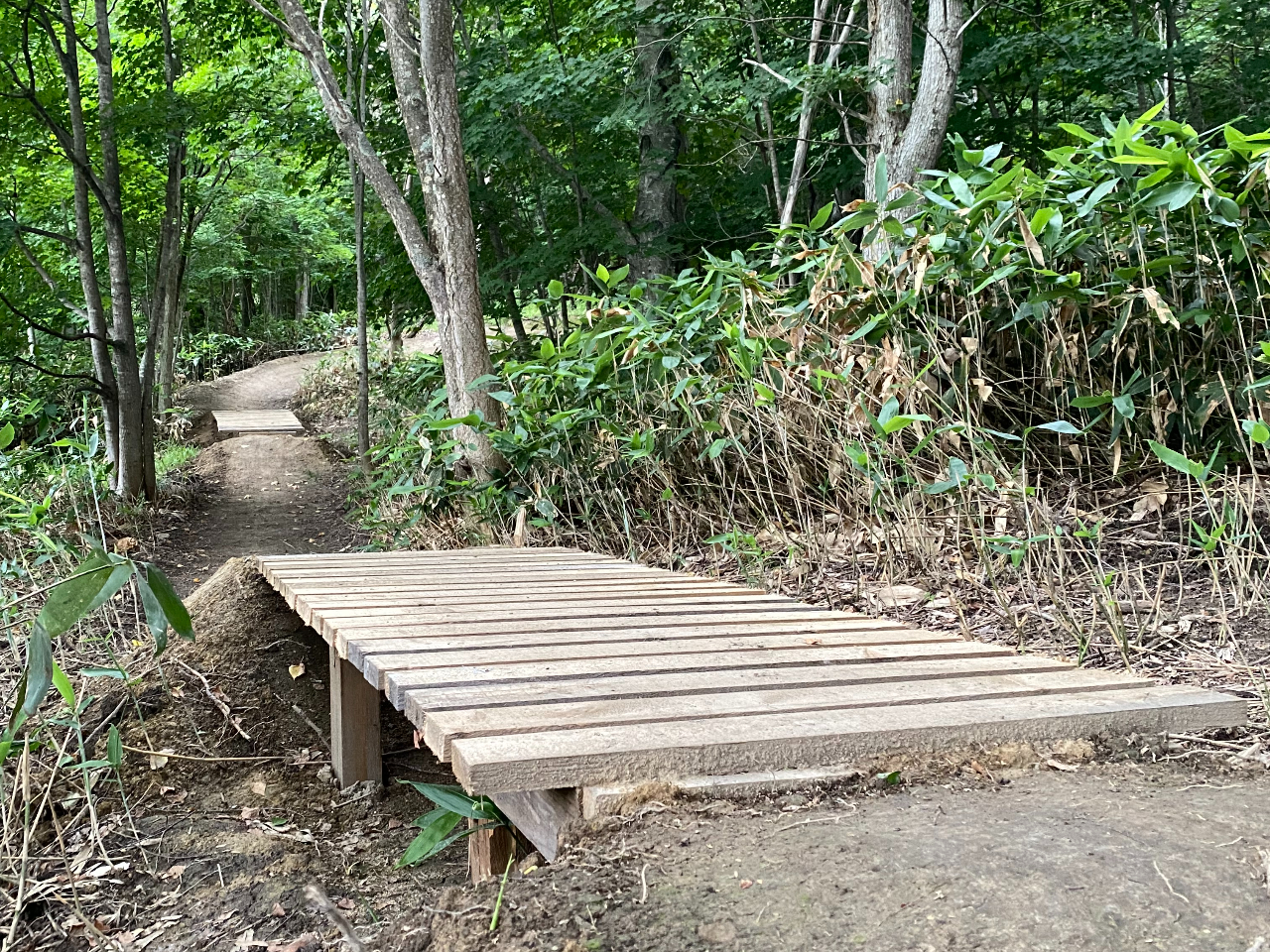 xAbvƃtẼWvC܂BThis is a flow jump line.