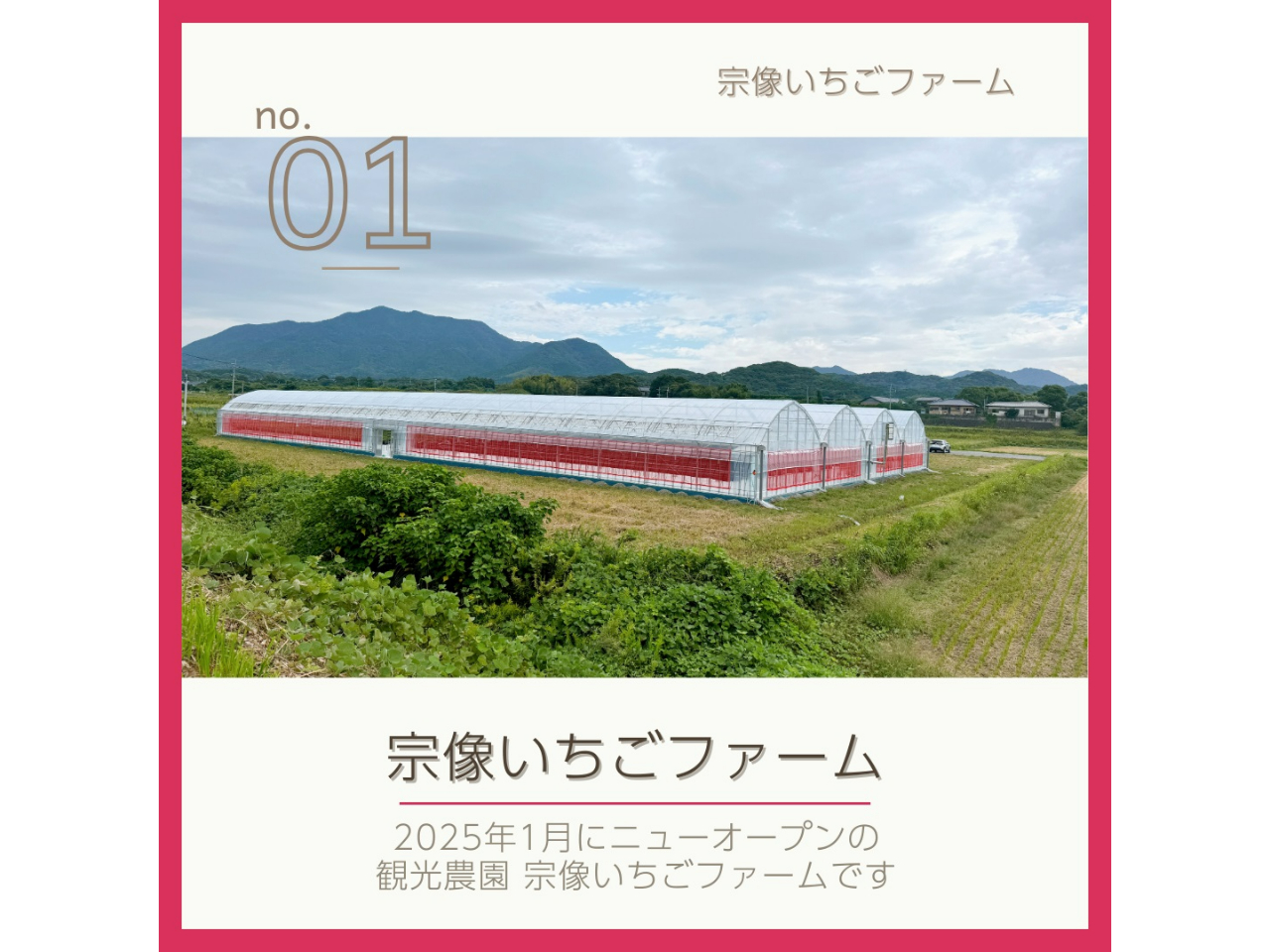 宗像市に新しいビニールハウス！