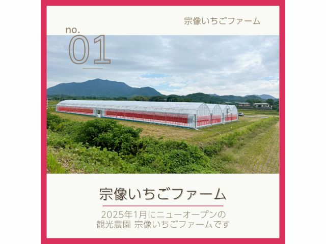 宗像市に新しいビニールハウス!