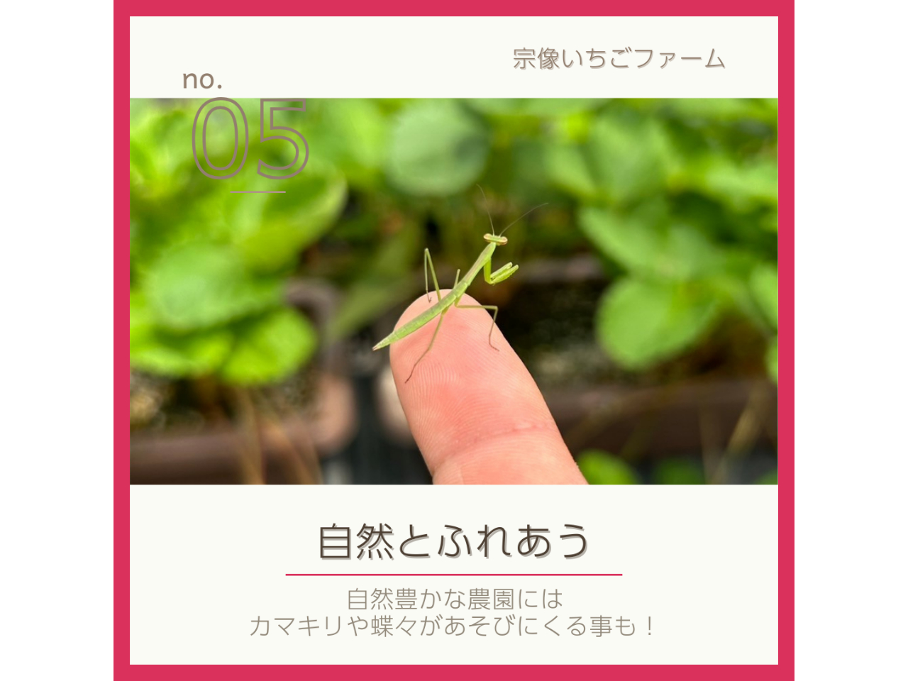 @̑厩Rłql₲FlƂ̂тył݂܂񂩁H