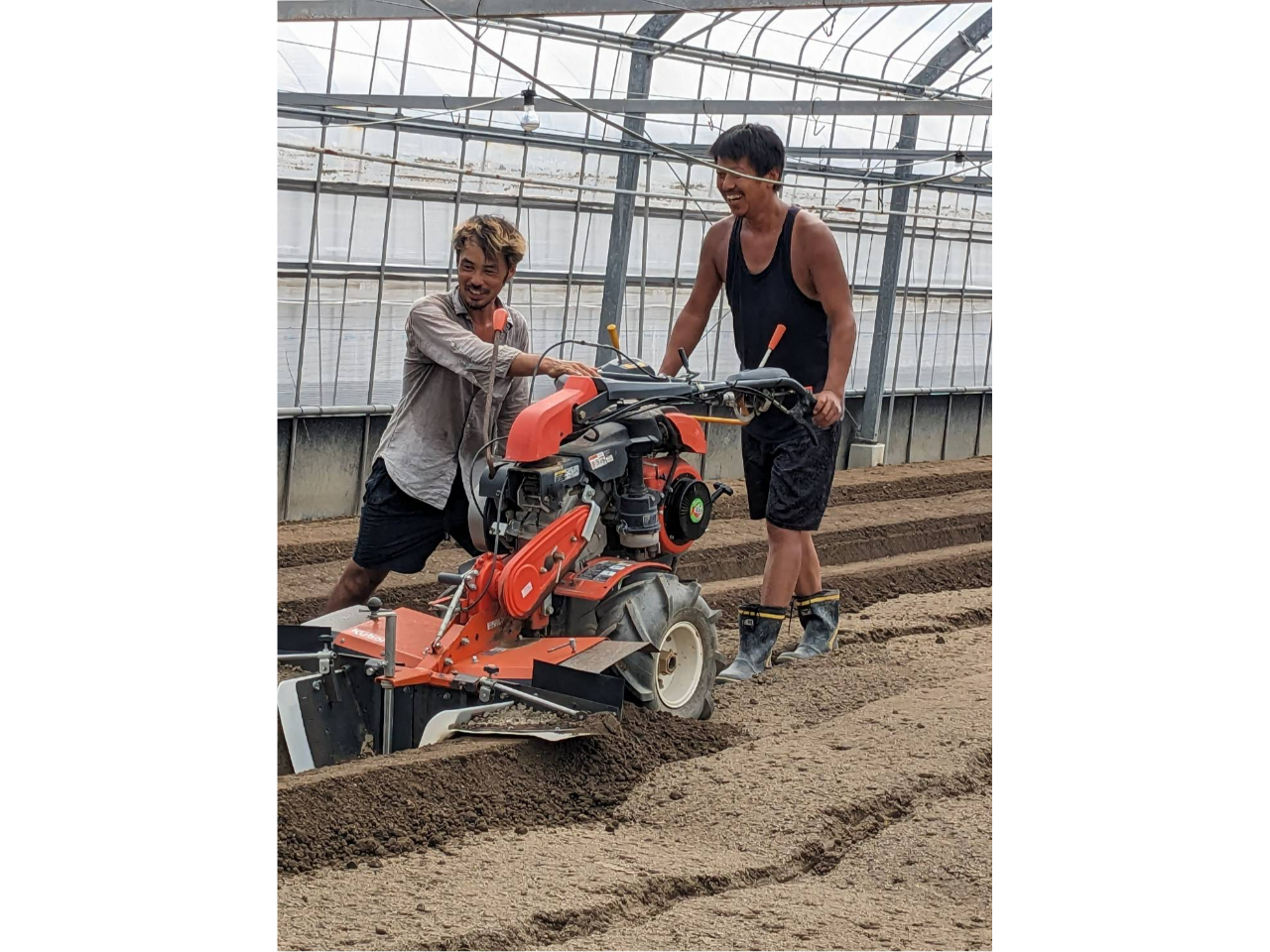 su{_vŔ_ƁE͔|̕׋Ē܂B҂ɉ_ƂڎwĊ撣Ă܂I