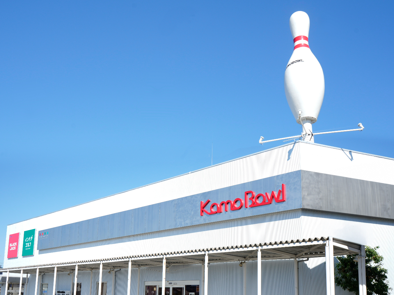 ��΃{�[���̎ʐ^4